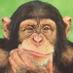 Cyber Monkey (@cyber_monkeyz) Twitter profile photo Cyber Monkey (@cyber_monkeyz) Twitter profile photo