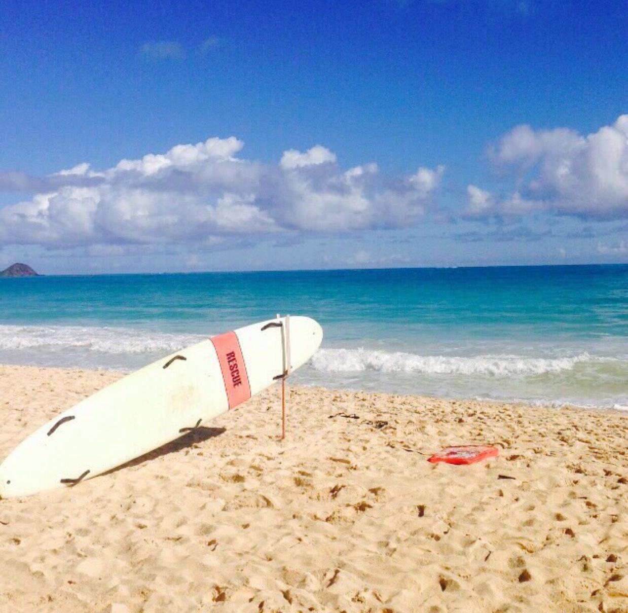 12192amkm's profile picture. 