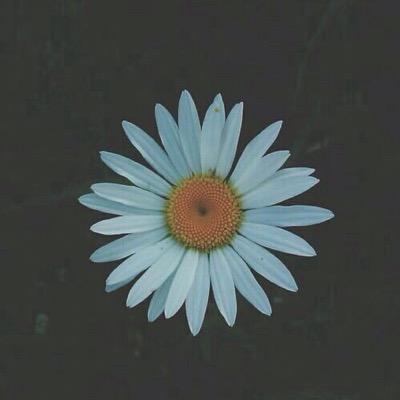 i hate feelings. i hate myself. i dont wanna be here anymore.