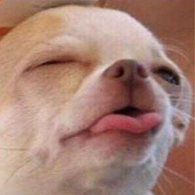 kbrew_cincy's profile picture. 