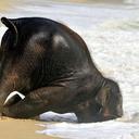 Jeff Eshelman - @Lab_Rat_Y2K - Twitter