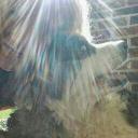 Renae Anderson - @RenaeRenaeca - Twitter