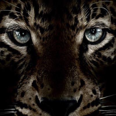 LanckrietG's profile picture. 