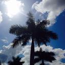 Lisa austin - @laustin5053 - Twitter