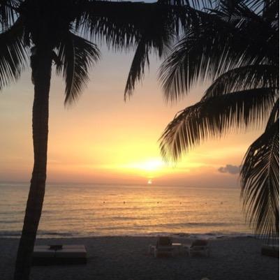 KaraTink's profile picture. 