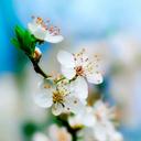 Savannah Washington - @savannah_1290 - Twitter