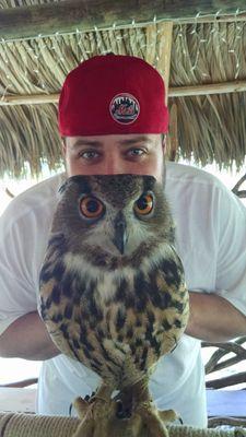 whostevejones's profile picture. 