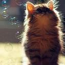 ҝњẳ∂๑๑ĝ .. ♛ (@05_kajo) Twitter