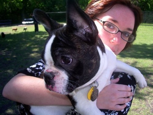 sarabakescookie's profile picture. Baking enthusiast, chorister, feminist, and bookworm.