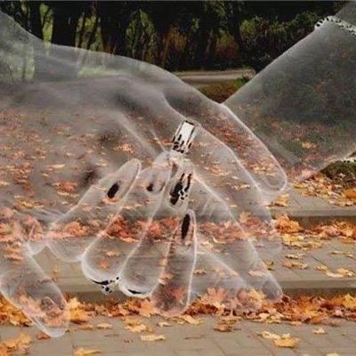 Casondra35's profile picture. 