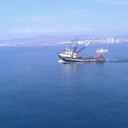 lali levi - @LaliLevi - Twitter