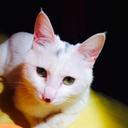 Sarah Ran Wei - @SarahRanWei1 - Twitter