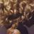 thesavannacat's profile image