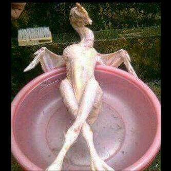 nolit2's profile picture. diambang kehancuran