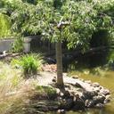 Dawn Methven - @DMeth - Twitter