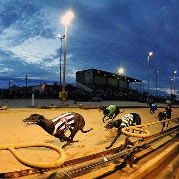 Home of Greyhound Racing in the Wimmera.