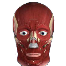 linduska's profile picture. Educational Technologist