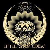 LittleStepCrew (@lstepcrew) 's Twitter Profile