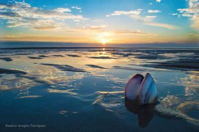 raularagon69's profile picture. 