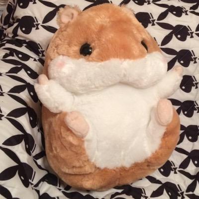細田 千尋 旧姓 金田 M S Jouney Twitter 細田 千尋 旧姓 金田 M S Jouney Twitter