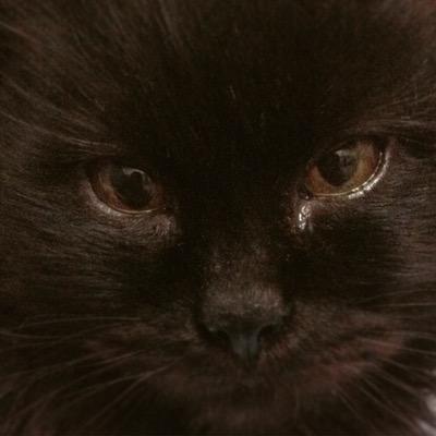 elena_tomoe's profile picture. Smile in the Beautiful World