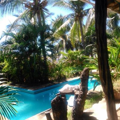 Eco Hotel & Pizzería a orilla de la playa en el océano pacífico, ven a disfrutar una hermosa experiencia con nosotros. Tel: (01 741) 101 3000