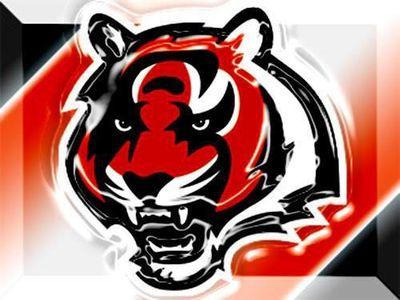 Bengalscott's profile picture. Bengals fan,Football player,Fan of Britney Spears and TFF and a smartass:)