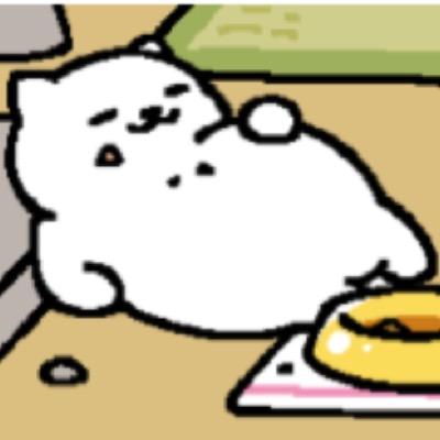 프로그래머