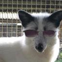 Roger Nicholas - @directorog - Twitter