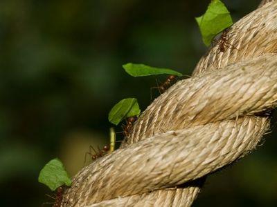 IonNavarro's profile picture. 