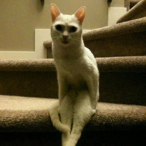 Yukichan_Osai's profile picture. Hmm... Myself? Gaming/anime/comic books pretty much sums up my life #otaku #animefreak #lolita