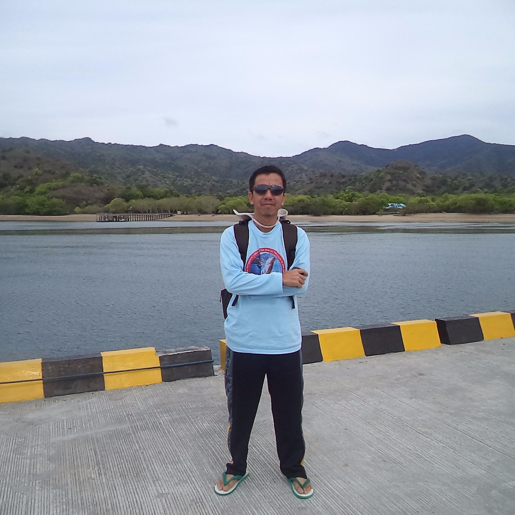 noviar789's profile picture. 