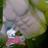 RfYDP4mkSpauJ4K's profile image