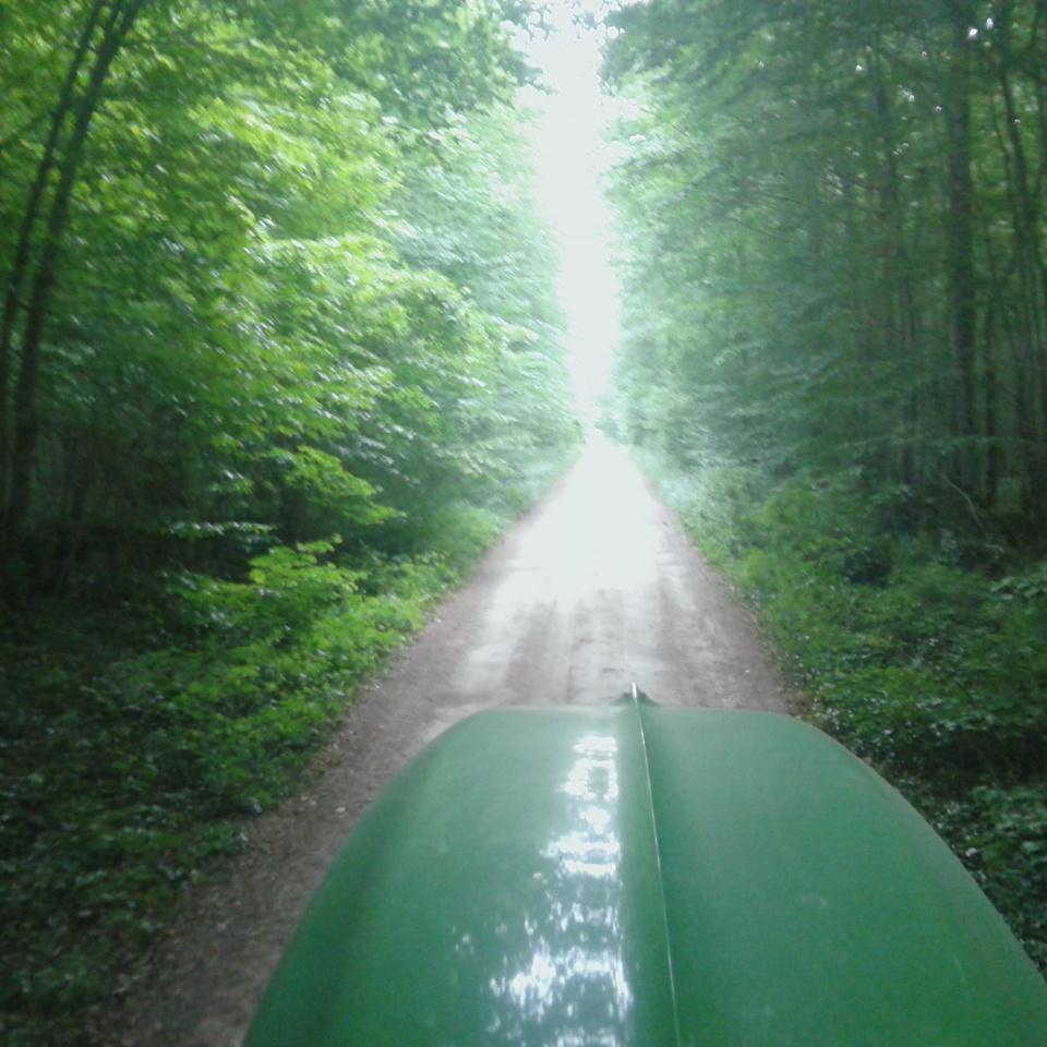 moddus21's profile picture. 