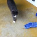 Oliver Gilbert - @JogilbertOliver - Twitter