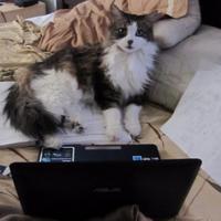 Madouu (@mawhoub2) 's Twitter Profile