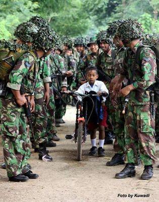 nardijazz's profile picture. 