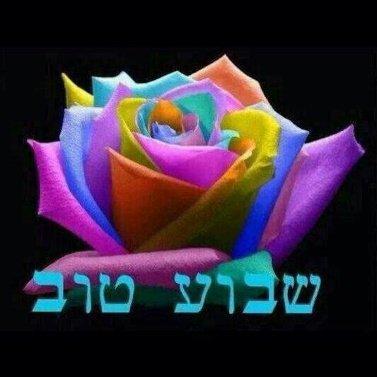 shanibar20's profile picture. 