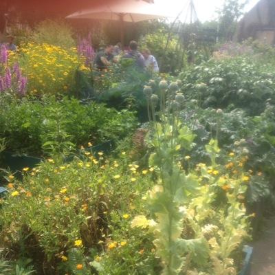 2weektrial's profile picture. 