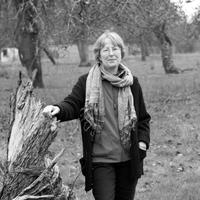 ella grace quincy (@oldcountryvoice) 's Twitter Profile