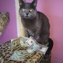 JILL BEHRENS - @ironlady580 - Twitter