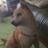 d27_0346's profile image