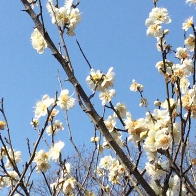 最近は、専ら観劇感想を突然呟きます😊応援している方が沢山います😊