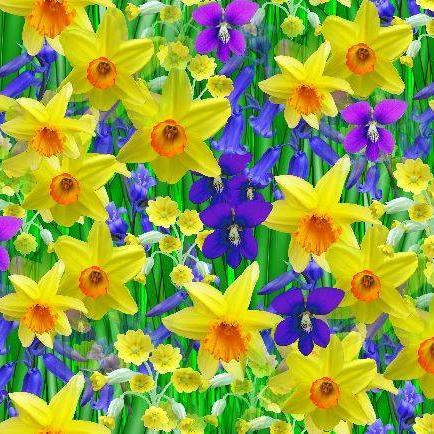 GardenSouthampt's profile picture. Local Gardener - mowing, hedge cutting, general garden tidying. Call today!