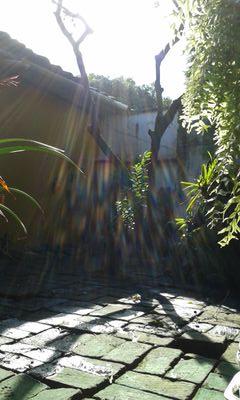 carmenzacalero's profile picture. 