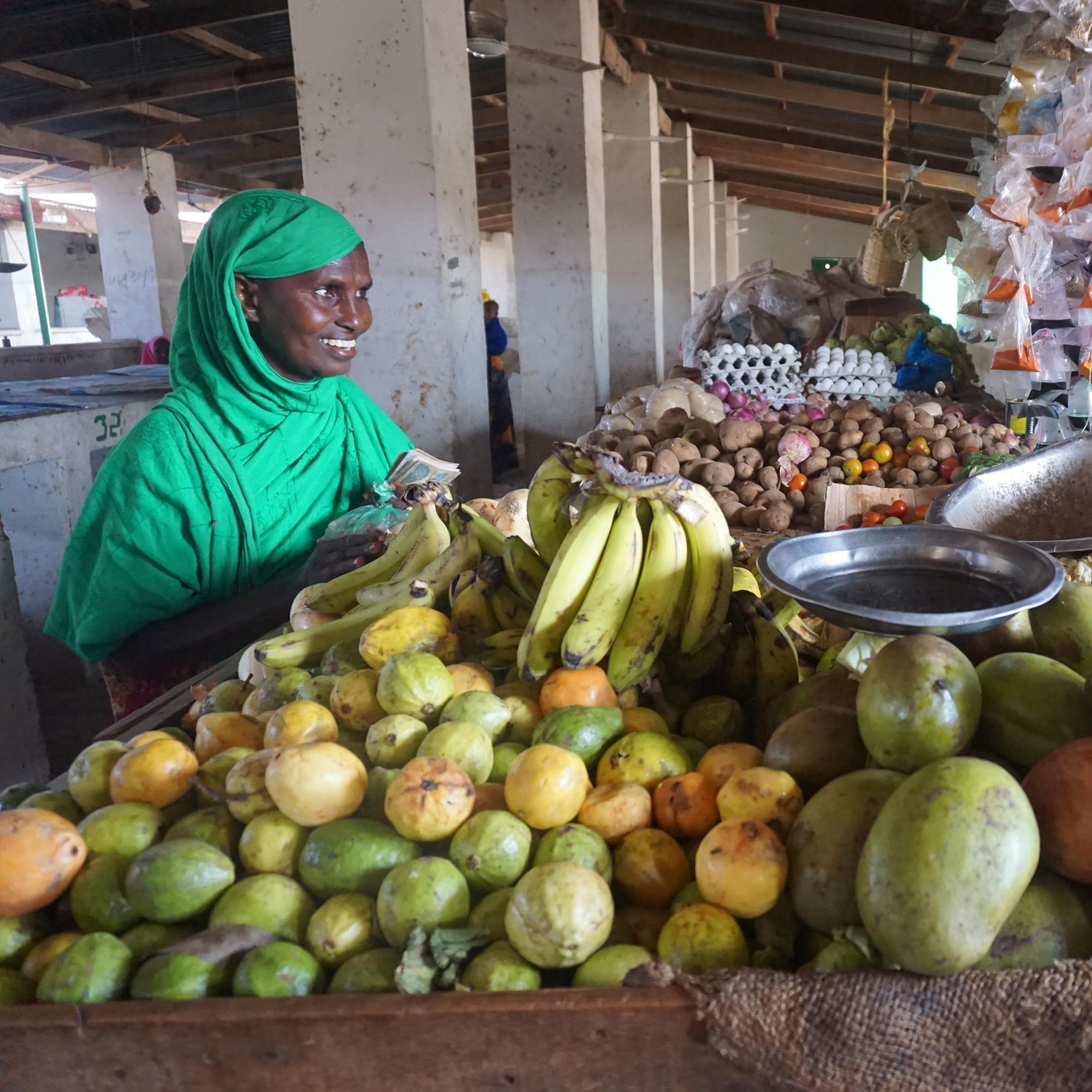 To represent the Voice of all Somali Women, Men and Youth via improved Local Governance and Service Delivery for a Fairer Society with Opportunities and Hope