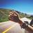 TravelnownowZA's profile image