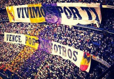 realdalma's profile picture. 