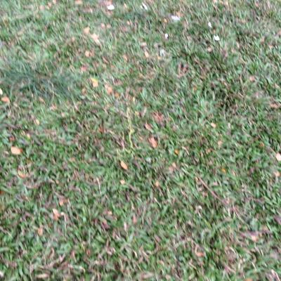 q78082638's profile picture. 