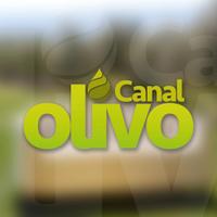 Canal Olivo (@canalolivo) 's Twitter Profile